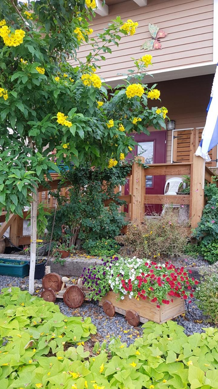The Butterflies Wood House Villa Reshafim ภายนอก รูปภาพ